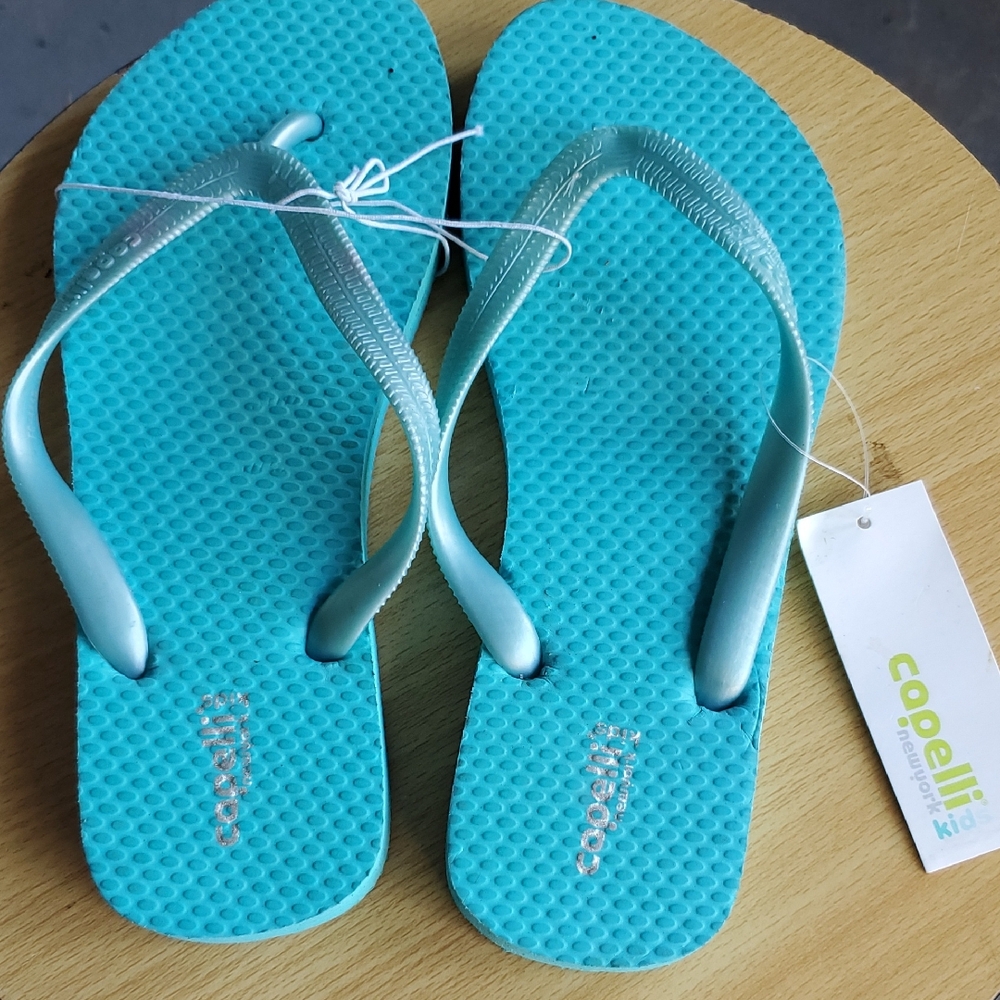 Capelli of New York Blue Flip Flops